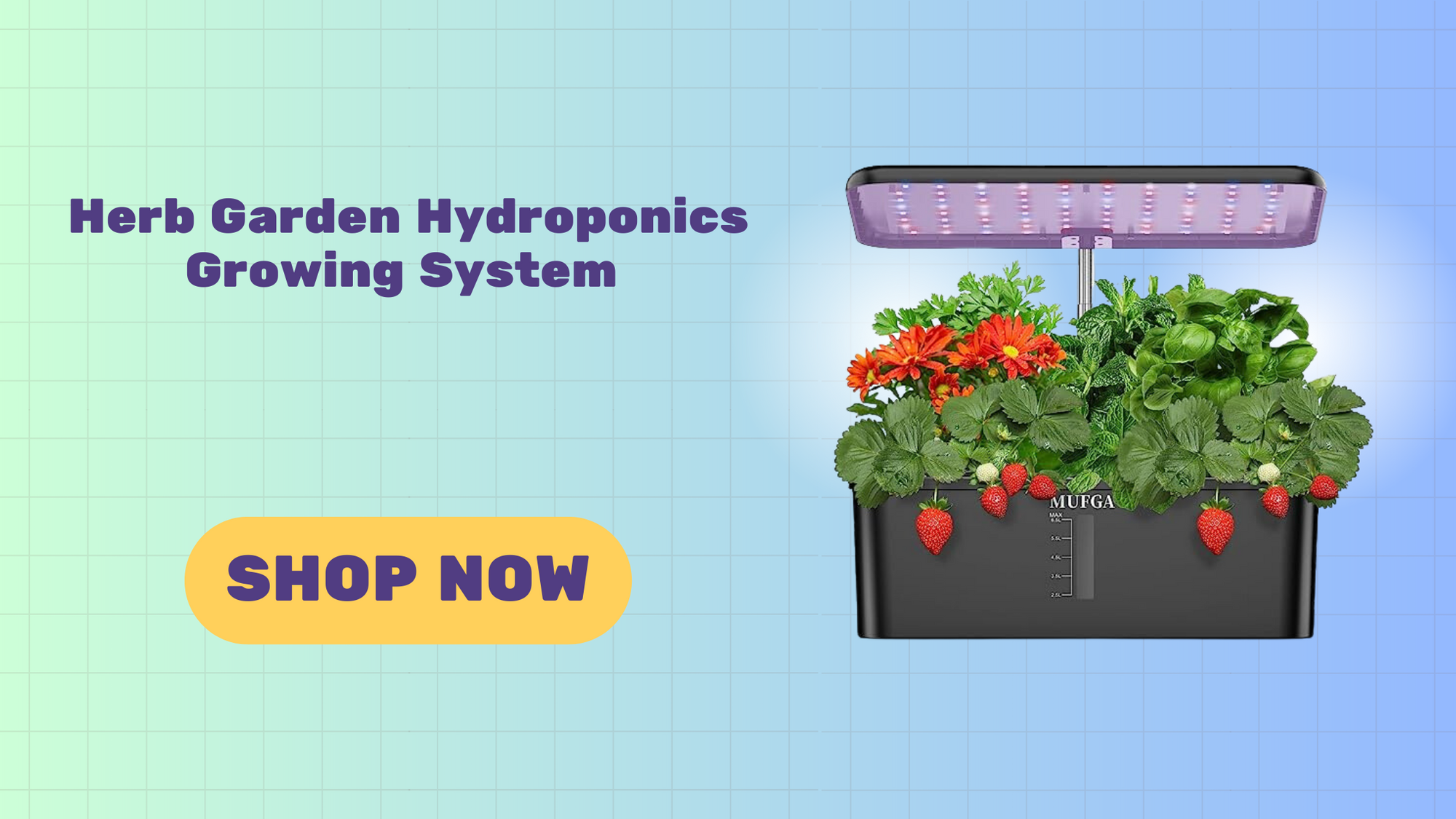 Herb Garden Hydroponics Growing System